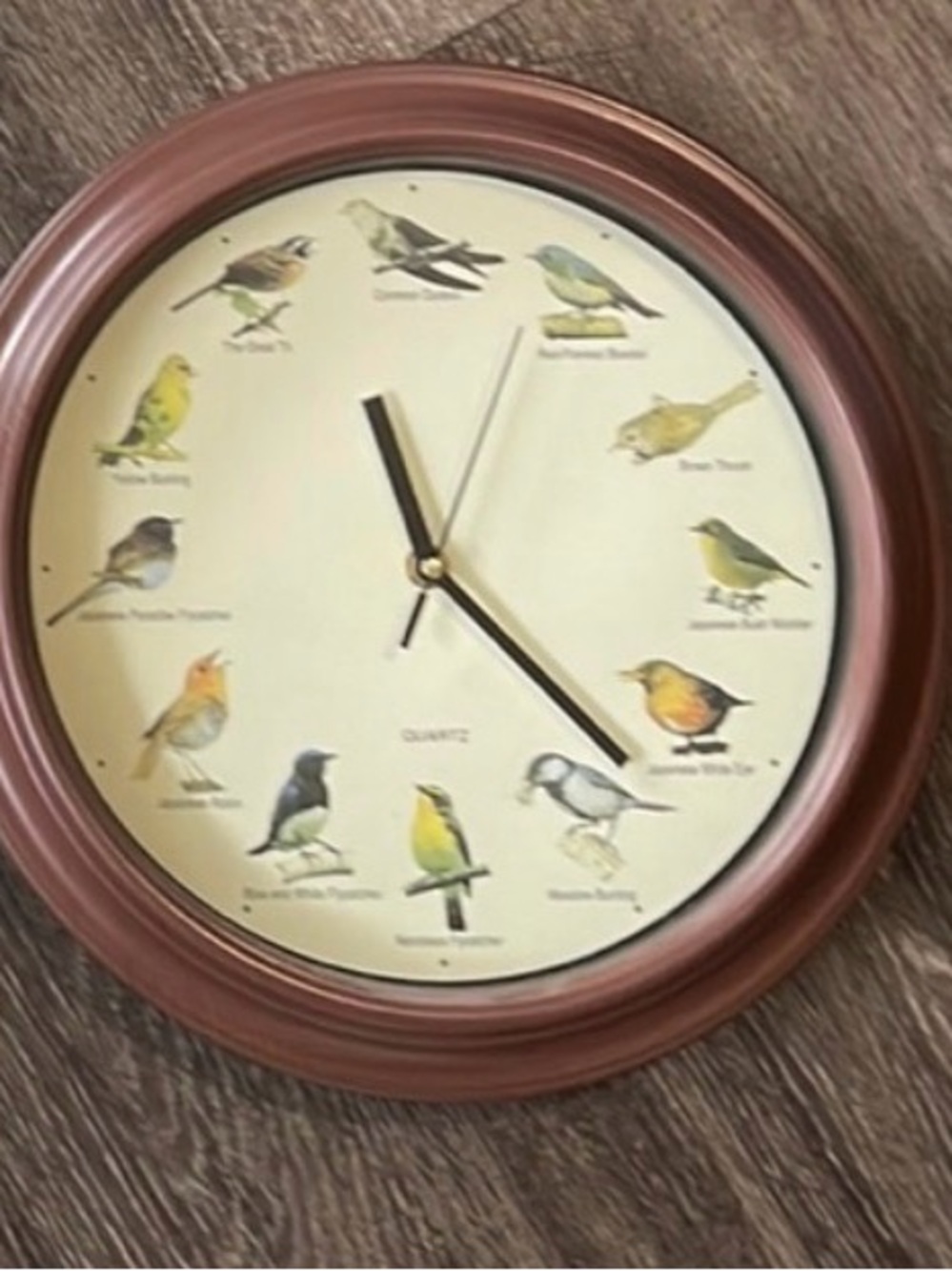 Bird-Themed Wall Clock in Brown - Quartz Birdsong Design